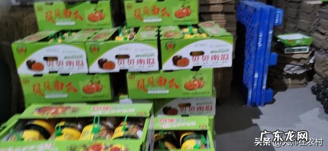 农村现在能做什么生意 在农村做什么可以赚大钱,农村做什么项目比较好