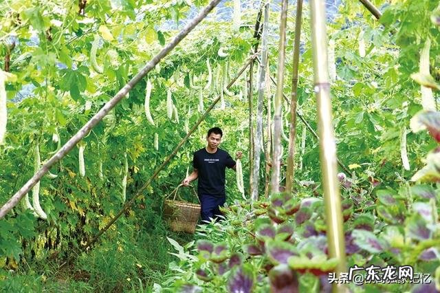 农村现在能做什么生意 在农村做什么可以赚大钱,农村做什么项目比较好