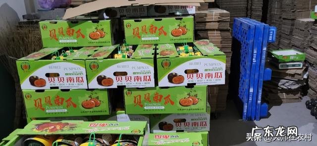 农村现在能做什么生意 在农村做什么可以赚大钱,农村做什么项目比较好