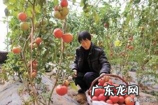 做什么挣钱快又多 如今在农村,做什么能快速赚到钱,自己创业做什么赚钱