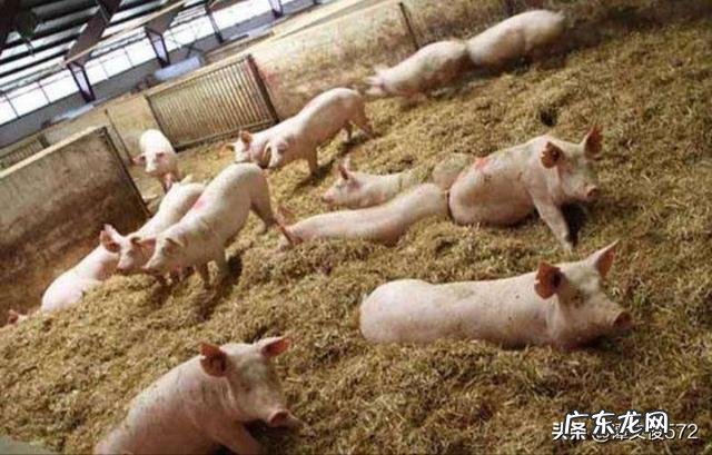 做什么挣钱快又多 如今在农村,做什么能快速赚到钱,自己创业做什么赚钱