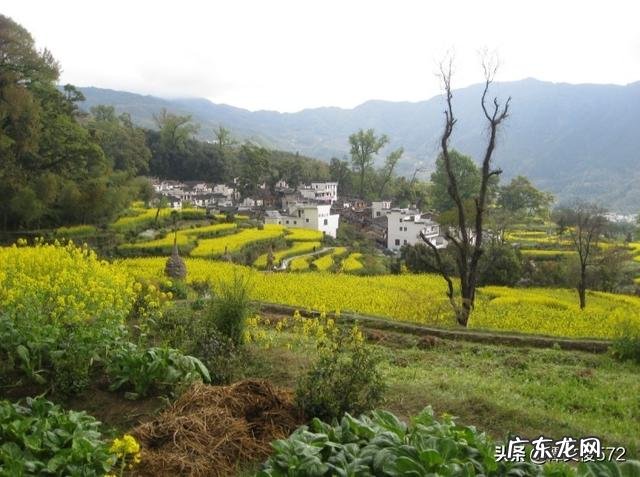 做什么挣钱快又多 如今在农村,做什么能快速赚到钱,自己创业做什么赚钱