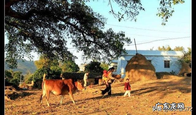 做什么挣钱快又多 如今在农村,做什么能快速赚到钱,自己创业做什么赚钱