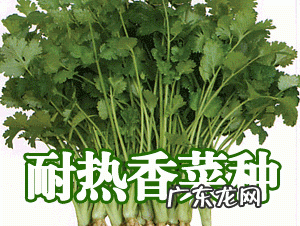 做什么挣钱快又多 如今在农村,做什么能快速赚到钱,自己创业做什么赚钱