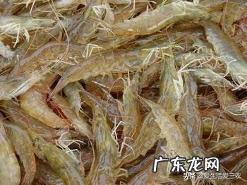 做什么挣钱快又多 如今在农村,做什么能快速赚到钱,自己创业做什么赚钱