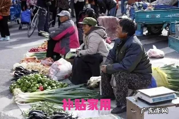 农女种田忙 现在农民有人不种田了，在农村做什么能赚钱,农民想创业什么项目好