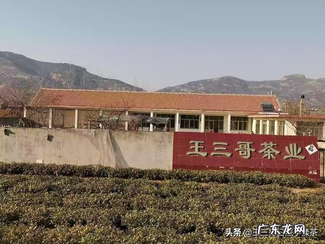 茶具生意好做吗 如何做好茶叶生意呢,茶叶行业好做吗