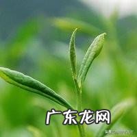 茶具生意好做吗 如何做好茶叶生意呢,茶叶行业好做吗