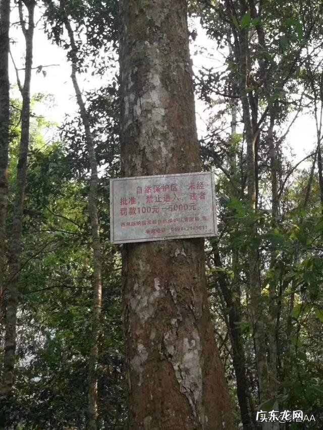 茶具生意好做吗 如何做好茶叶生意呢,茶叶行业好做吗