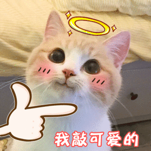 我没有心思谈恋爱只想搞钱 有没有不想谈恋爱只想搞钱的?现在的你对于恋爱什么想法?谈恋爱不如搞钱