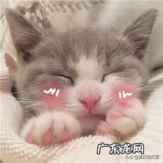 我没有心思谈恋爱只想搞钱 有没有不想谈恋爱只想搞钱的?现在的你对于恋爱什么想法?谈恋爱不如搞钱