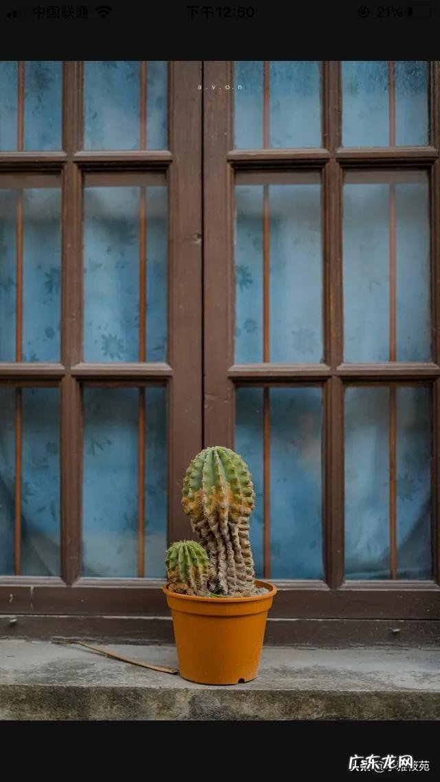 我没有心思谈恋爱只想搞钱 有没有不想谈恋爱只想搞钱的?现在的你对于恋爱什么想法?谈恋爱不如搞钱