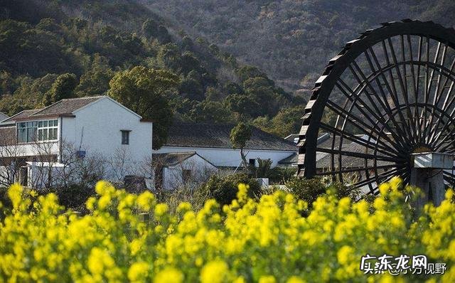适合农村的小本生意 农村现如今冷门的赚钱项目都有哪些,冷门生意好项目