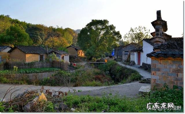 适合农村的小本生意 农村现如今冷门的赚钱项目都有哪些,冷门生意好项目