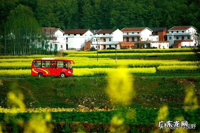 适合农村的小本生意 农村现如今冷门的赚钱项目都有哪些,冷门生意好项目