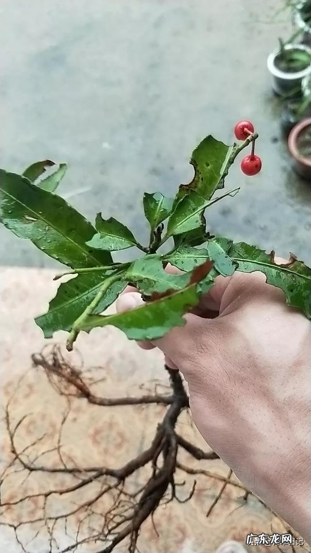 适合农村的小本生意 农村现如今冷门的赚钱项目都有哪些,冷门生意好项目