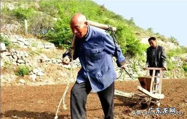 种植业什么最赚钱农村 你们觉得农村种植什么能挣钱多点,致富经一亩地赚三十万