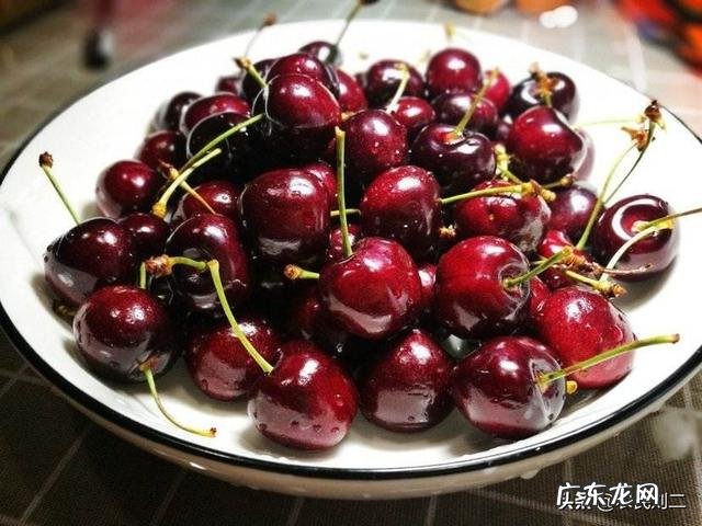 种植业什么最赚钱农村 你们觉得农村种植什么能挣钱多点,致富经一亩地赚三十万