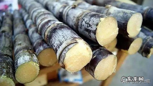 种植业什么最赚钱农村 你们觉得农村种植什么能挣钱多点,致富经一亩地赚三十万