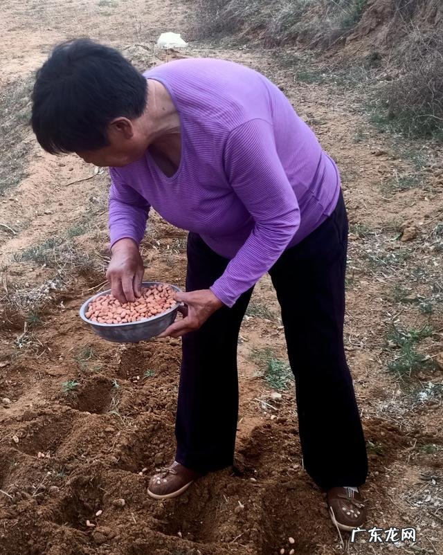 农民靠什么挣钱 农民现在种地还挣钱吗种什么合适,现在农民种啥挣钱