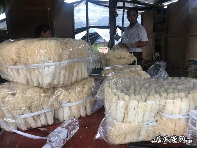 养老金算家庭收入吗 农村养啥能收入高,养什么繁殖快利润高