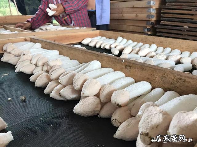 养老金算家庭收入吗 农村养啥能收入高,养什么繁殖快利润高