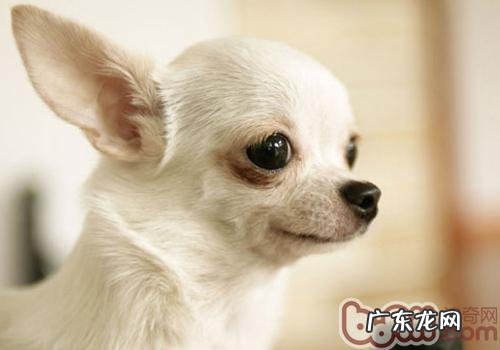 收养不是你一个人的事