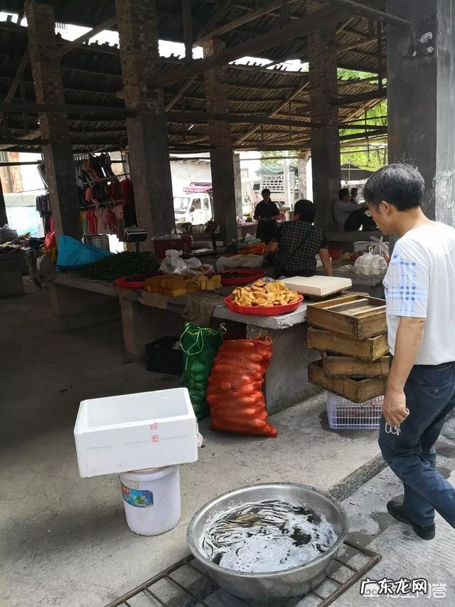 现在县城适合做什么生意 在小县城和农村做点什么生意好,县城冷门暴利生意