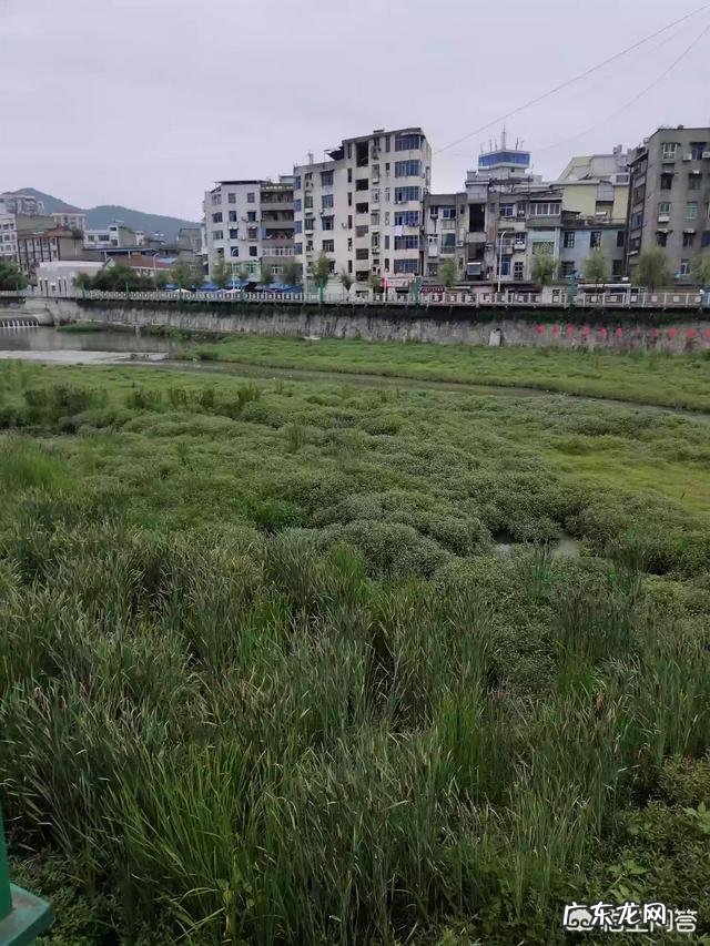 现在县城适合做什么生意 在小县城和农村做点什么生意好,县城冷门暴利生意