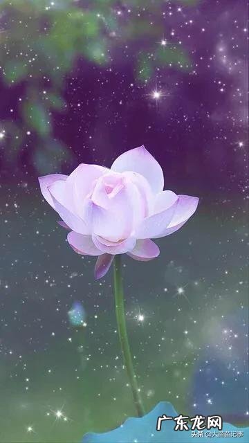 65种适合县城做的生意 回老家县城做点什么生意,回老家县城有什么可发展的