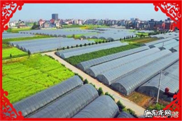 没本钱干什么挣钱快 农村创业适合做什么回本快赚钱多,乡下做什么比较赚钱