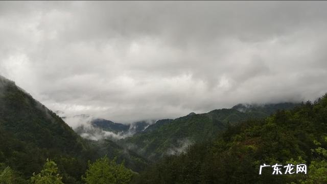 挣钱好项目 农村现如今能够赚钱的项目都有哪些,适合农村的创业项目