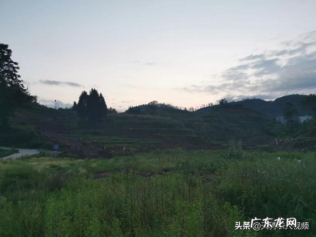 挣钱好项目 农村现如今能够赚钱的项目都有哪些,适合农村的创业项目