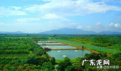 小生意商机 想回老家农村做小生意,有什么低成本创业项目,什么创业项目好