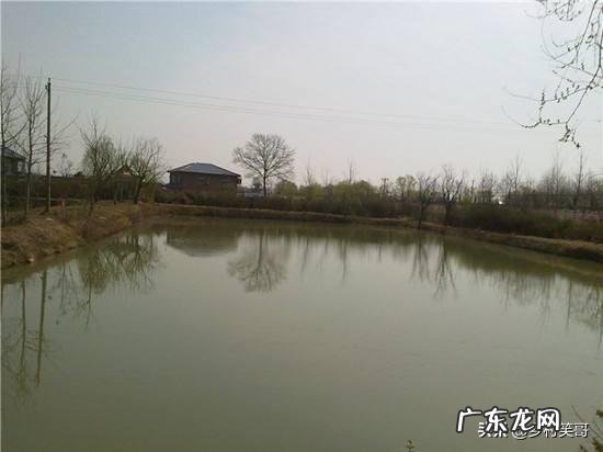 小生意商机 想回老家农村做小生意,有什么低成本创业项目,什么创业项目好