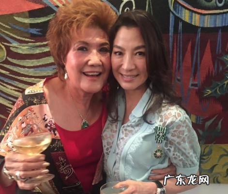 演员杨紫琼的个人资料 杨紫琼个人资料