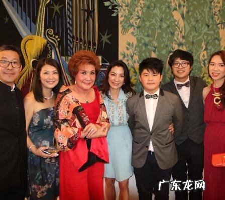 演员杨紫琼的个人资料 杨紫琼个人资料