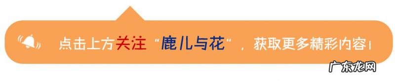 赤西仁黑木明纱颜值好高 赤西仁黑木明纱