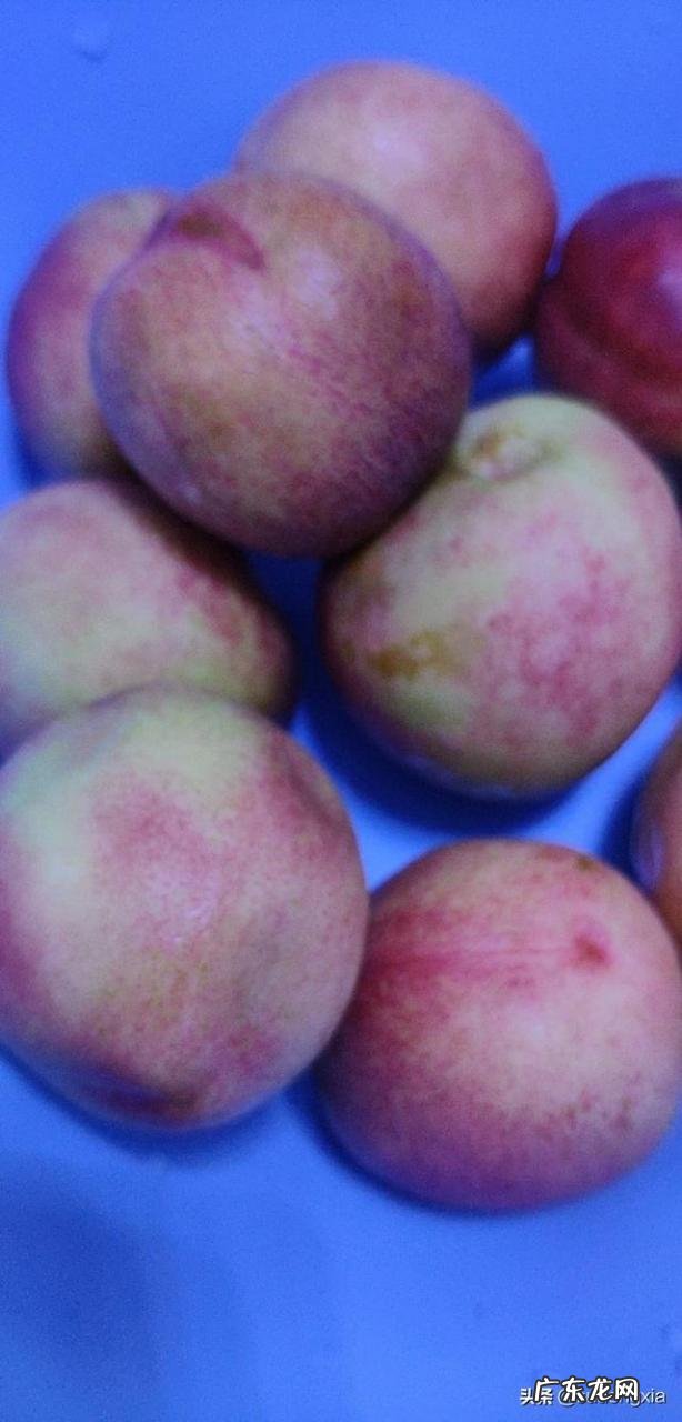 一天赚1000块钱的游戏 怎么可以赚钱呢,每天能赚30—50元的手机游戏