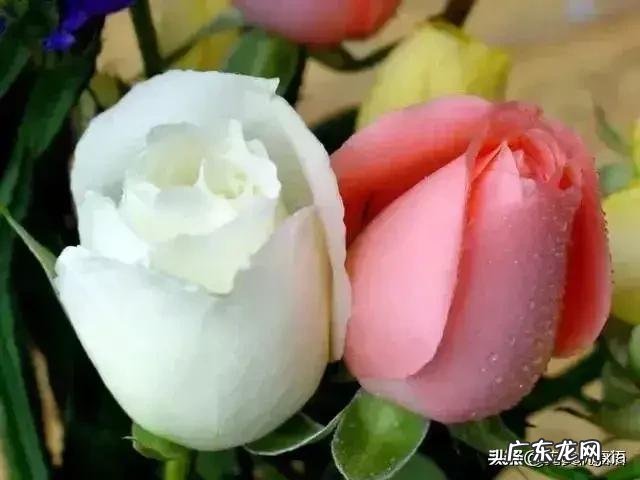 一天赚1000块钱的游戏 怎么可以赚钱呢,每天能赚30—50元的手机游戏