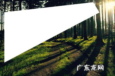 ps怎么局部调亮图片 PS怎么局部调亮