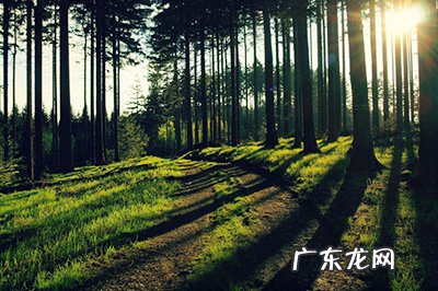 ps怎么局部调亮图片 PS怎么局部调亮