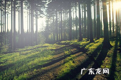 ps怎么局部调亮图片 PS怎么局部调亮