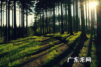 ps怎么局部调亮图片 PS怎么局部调亮