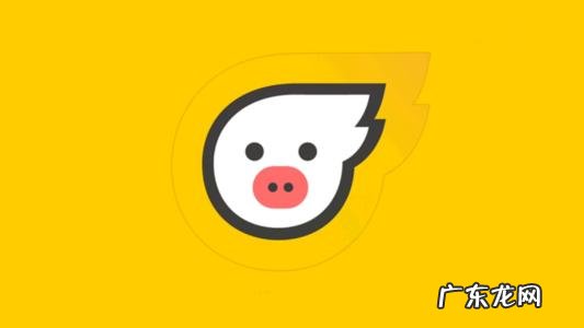 飞猪怎么绑定支付宝?飞猪会员有何权益?