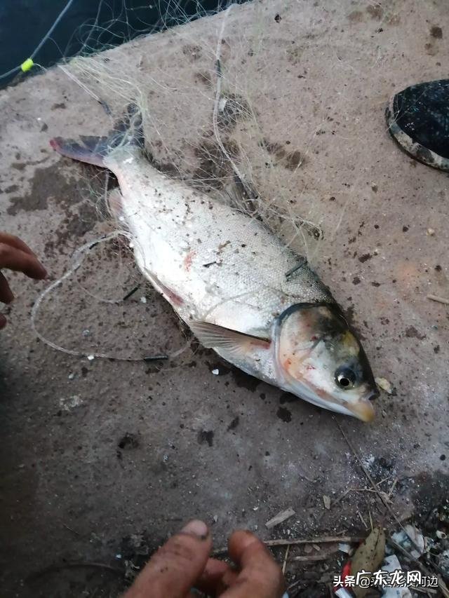 在农村摆地摊,应该卖什么好