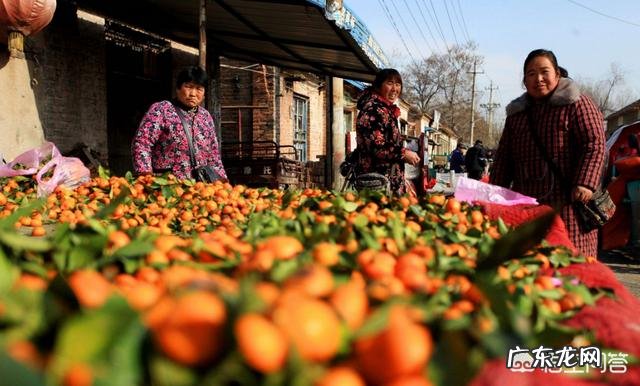 月收入6万算高收入吗 农村集镇上干什么生意,收入不错,现在干什么工作工资高