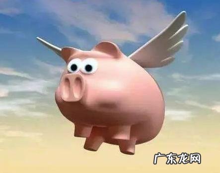 飞猪怎么续住房间?信用住是什么?