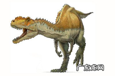 ps怎样将图片融入背景 PS怎么将图片融入背景