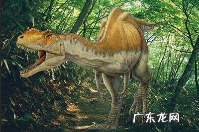 ps怎样将图片融入背景 PS怎么将图片融入背景